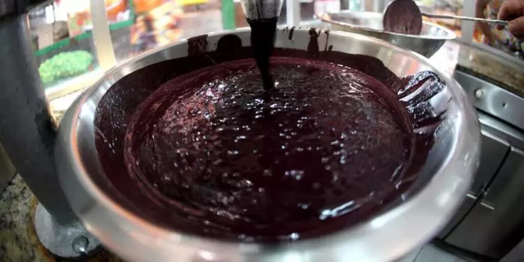 Influenciador Elege O Açaí Do Pará Como O Melhor Do Brasil