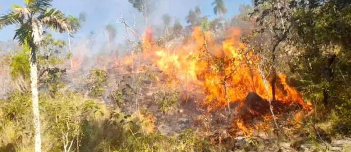 Focos de incêndio em São Geraldo do Araguaia, no Pará